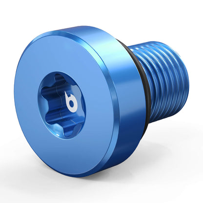 Coolant Bleed Screw Vent Bolt for BMW E88 F23 E30 E46 E92 F30 F32 E34 E39 F10 X3