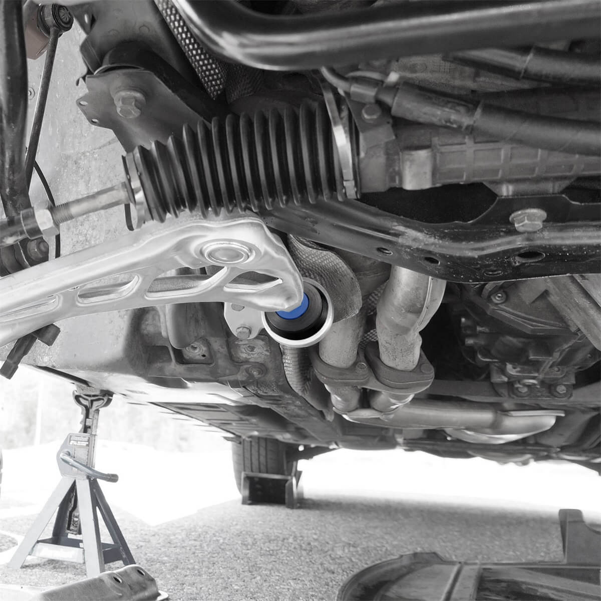 Poly Front Control Arm Bushings For BMW E46 Z4 E85 E86