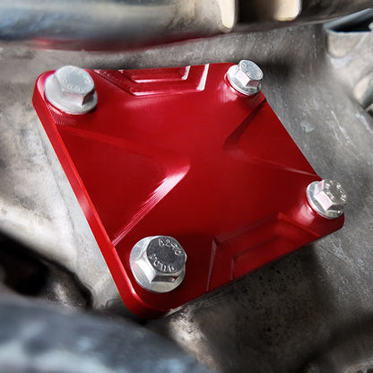 BEVINSEE Timing Chain Cover Plate 11324-0P010 Replacement For Toyota 4Runner Tacoma